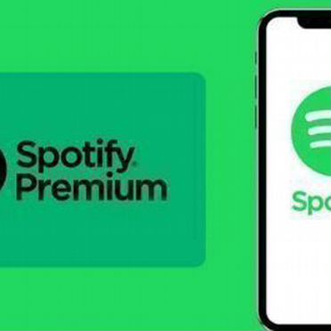 Spotify Premium DUO работает в России