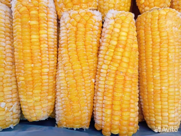 Замороженная кукуруза в початках индия