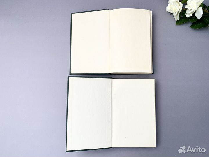 Лекарственные средства М.Д. Машковский