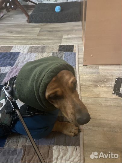 Шапочка -Балаклава для собаки