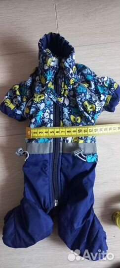 Комбинезон для собаки весна