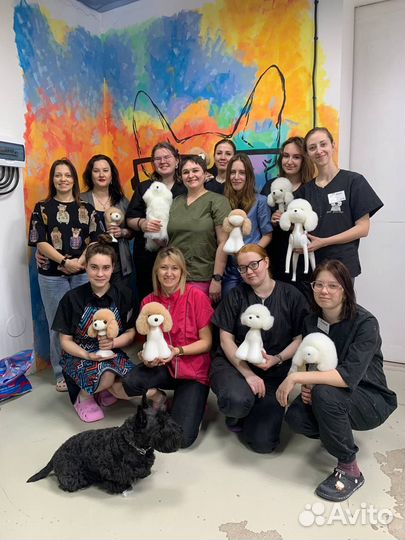 Груминг обучение в Тюмени
