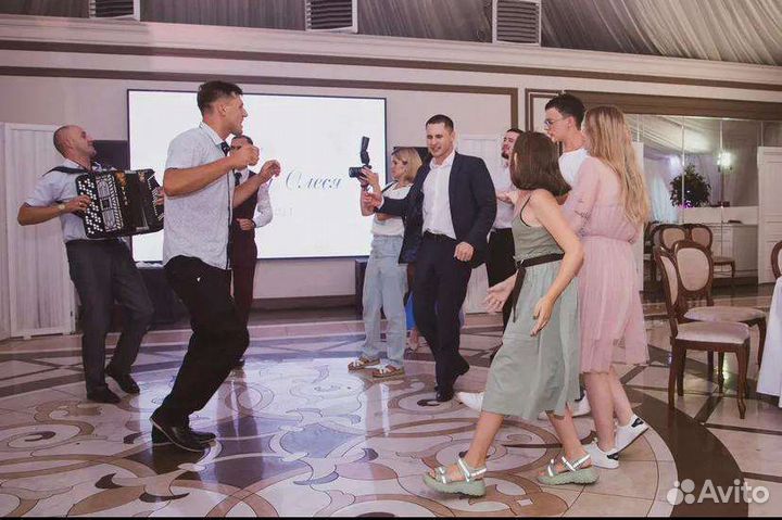 Баянист на праздник