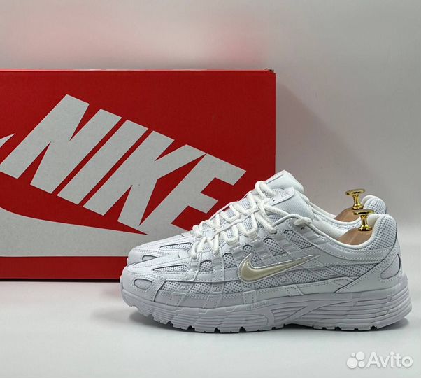 Кроссовки Nike Air Zoom P-6000