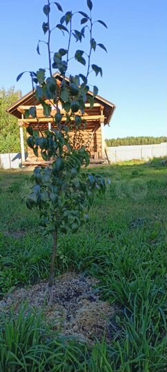 Дом 48 м² на участке 18 сот.