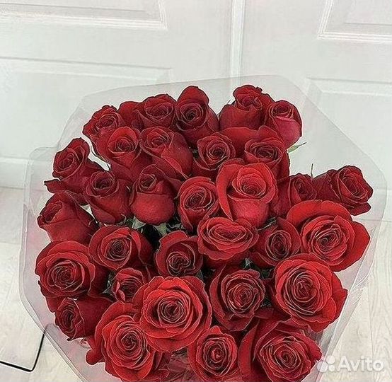 Высокие розы Гигантские розы 110