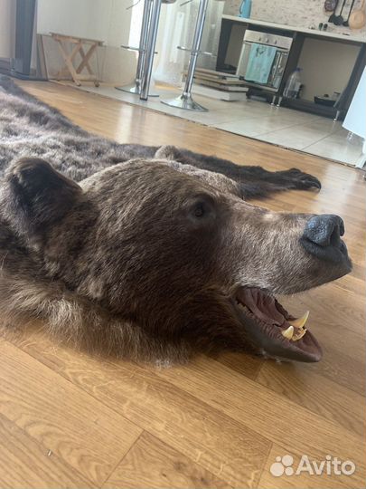 Шкура медведя имитация