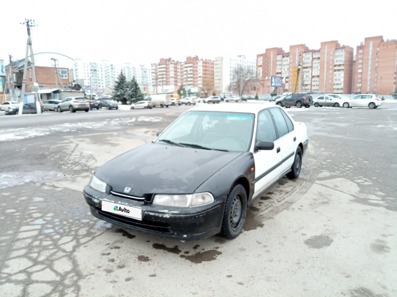 Honda Accord: фото владельца
