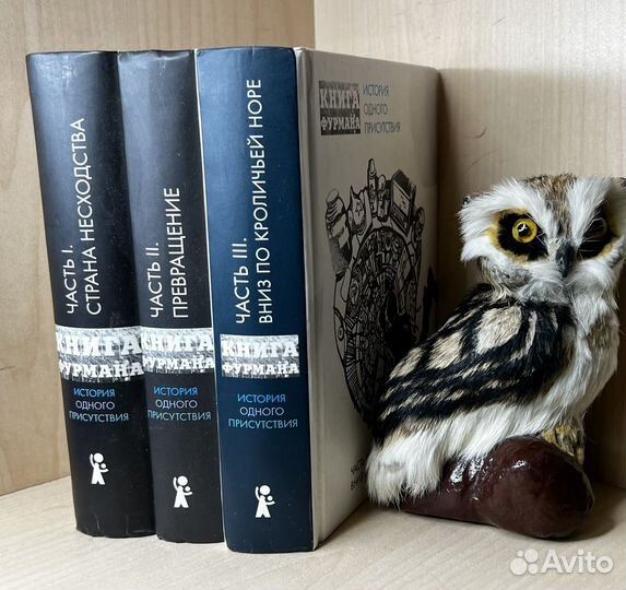 Фурман А. Книга Фурмана. История одного присутстви