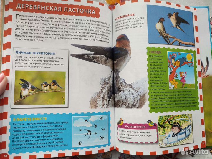 Детская энциклопедия