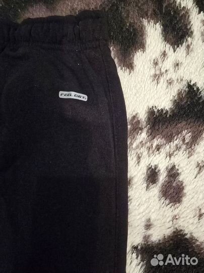 Спортивные штаны US polo assn