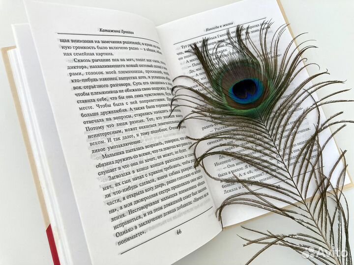 Катажина Грохоля Никогда в жизни