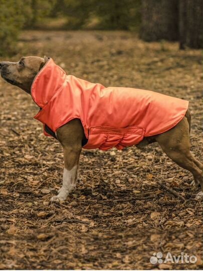 Куртка комбинензон для собаки