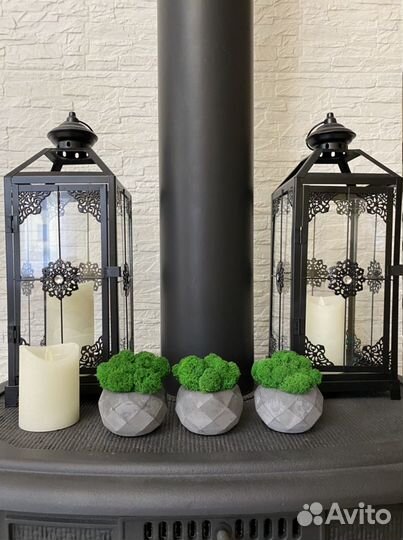 Кашпо из бетона со мхом