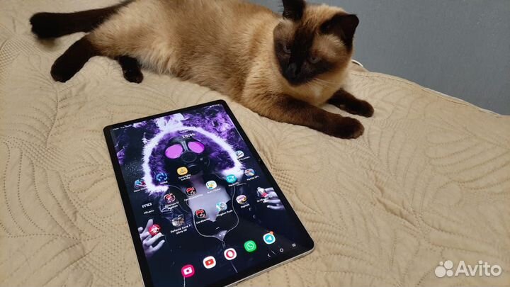 Samsung Galaxy Tab S7 Plus