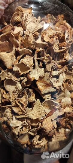 Сушеные грибы