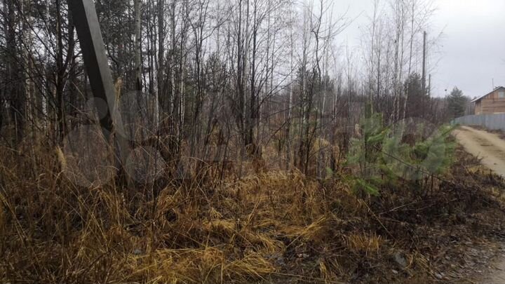 Участок 12,6 сот. (СНТ, ДНП)