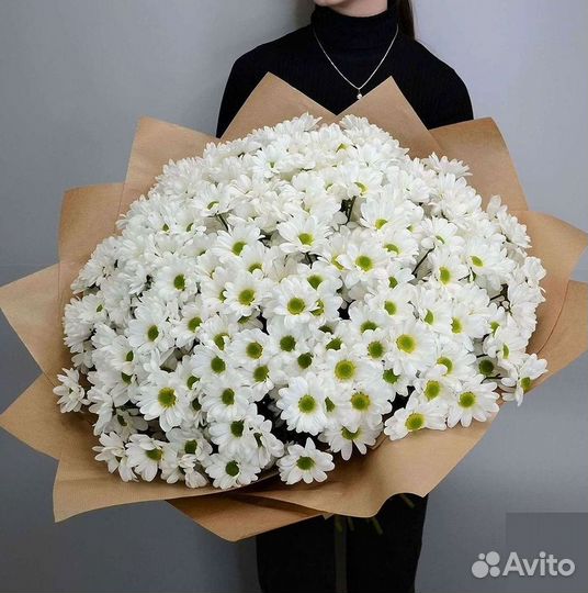 Хризантема Букет хризантем Доставка