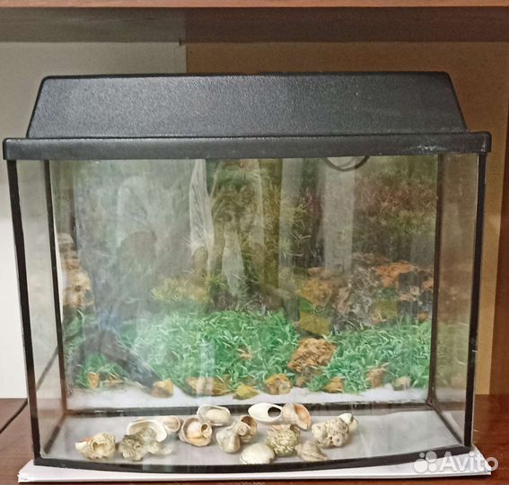 Аквариум