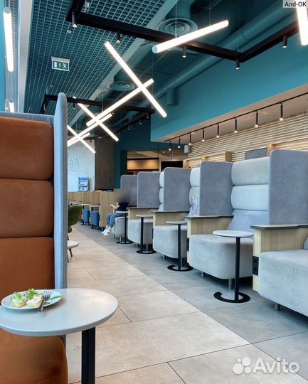 Проход в бизнес-зал в Домодедово (DME), Москва