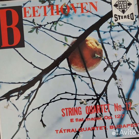 Импортные пластинки с классической музыкой по 500р