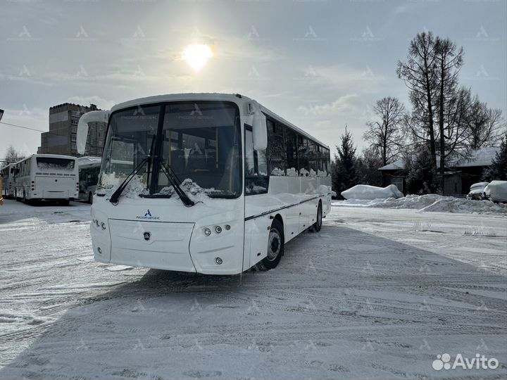Междугородний / Пригородный автобус КАвЗ 4238, 2024