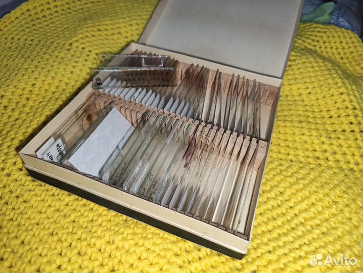 Гистологическое препараты