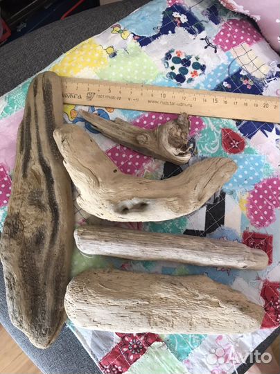 Коряги дрифтвуд