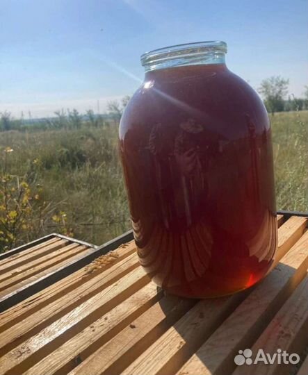 Экслюзивный дорогой мёд - дягелевый