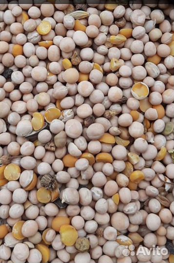 Горох посевной, фуражный, отруби гороховые