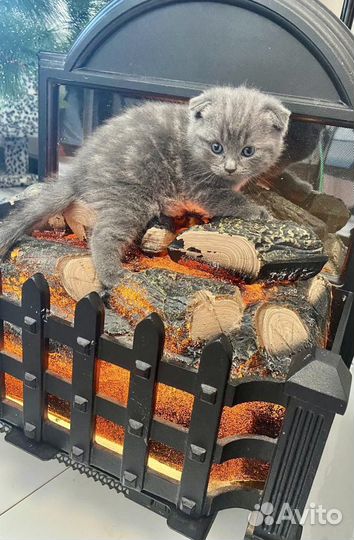 Камин электрический