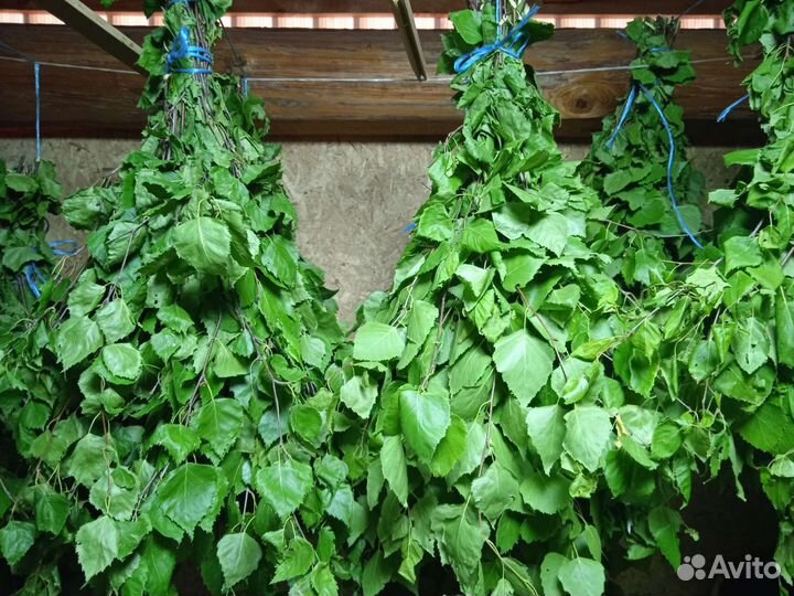 Березовые веники