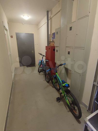 1-к. квартира, 43,6 м², 14/17 эт.