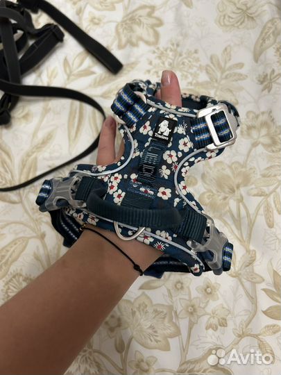 Шлейки для собак