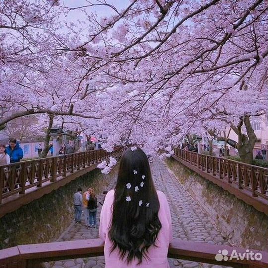 Гадание на картах Таро