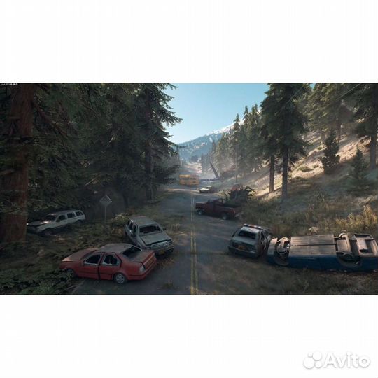 Жизнь После / Days Gone (PS4)