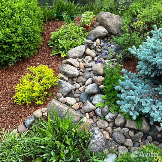 Мульча скорлупа кедрового ореха