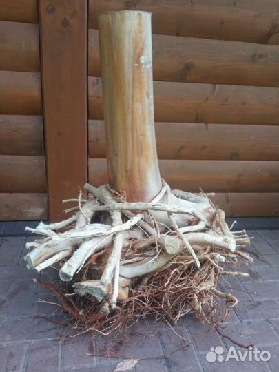 Пень интерьерный