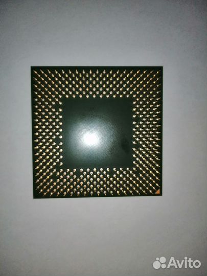 Процессор сокет 462 раритет. Амд атлон