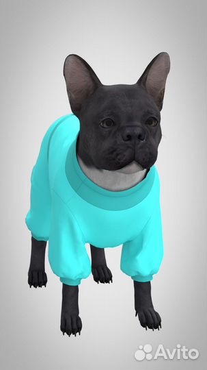 Одежда для собак. Любых размеров и цветов