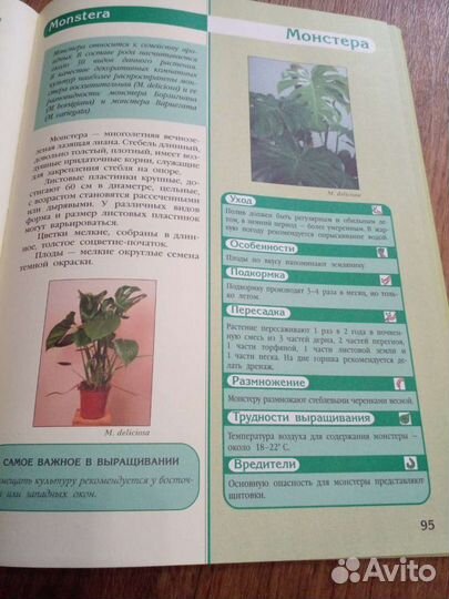 Книга.Комнатные растения