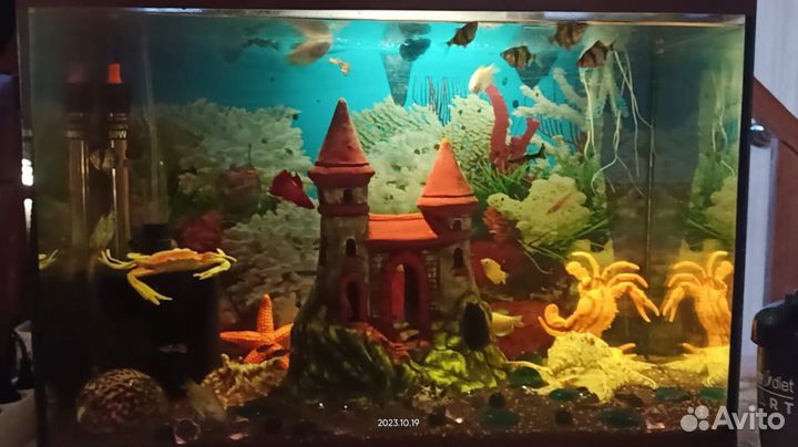 Аквариум с рыбками
