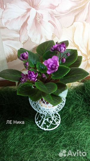 Детки сортовых фиалок