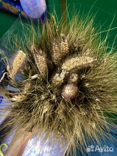 Букет из сухоцветов