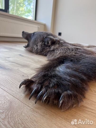 Шкура медведя имитация