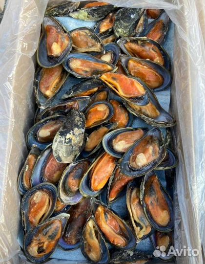 Мидии в раковине томатно-чесночном соусе, 500г