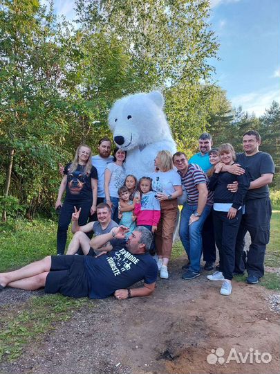 Белый мишка поздравление