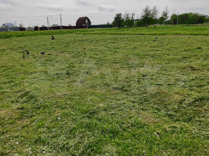 Участок 11 сот. (ИЖС)