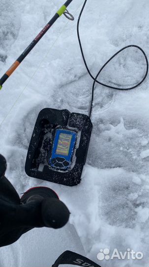 Аренда эхолот практик 8