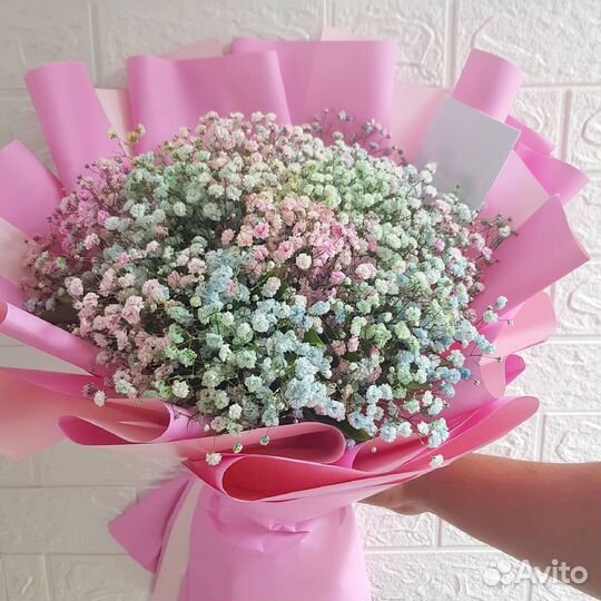 Разноцветная Гипсофила на Любой Повод